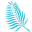 Sirata Beach Resort And Conference Center Icon
