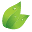 Applied Nutrition Icon