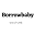 Borrowbabycouture.com Icon