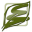 Skinsalve Icon