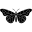 Papilo Icon