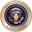 Presidential Limousine Icon