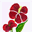 Park Mastectomy Icon