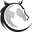 Charismaoncamera Icon