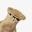 Commonfolke Icon
