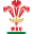 Wru Store Icon