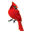 Boydequipment.com Icon