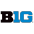 Big Ten Store Icon