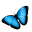 Butterfly World Icon