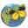 Insectdesigns Icon