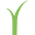 Easigrass Icon