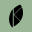 Kitulu Icon