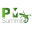 Pmsummit Icon
