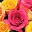 800Florals.com Icon