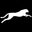 Cheetah Stand Icon