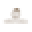 Freemontfoundation Icon