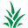 Aloeproductscenter Icon