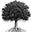 Legacy Food Storage Icon