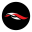 Circuit of The Americas Icon