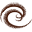 Big Island Candies Icon