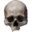 Mariomonforte Icon