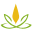 Am-cbd Icon