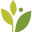 Athenahealth Icon