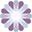 Intersco Icon