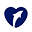 Dolphin Discovery Icon