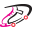 Discountskatewear Icon