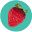 Healthyfamilyexpo Icon