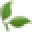 DrNatura Icon