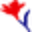 Boydsflowers Icon