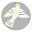 Elviravvdesigns Icon