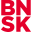 Brainshark Icon
