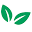 Fresh Express Icon