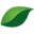 Pbnhc Icon