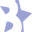 Burbstar.com Icon