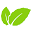 Mint Energie Icon