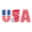 USA Jacket Icon