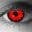Exotic Lenses Icon