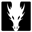 Dragonframe Icon