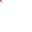 DACH BOUTIQUE Icon