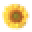 Homewatchcaregivers.com Icon