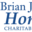 Brianhonan Icon