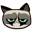 Grumpy Cats Icon