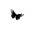 Butterflylane.co.uk Icon