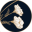 Irenesflorist.co.uk Icon