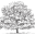 P. Allen Smith Icon
