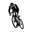Palmares1868 Icon